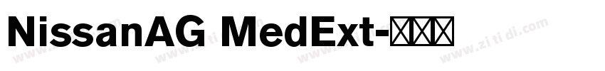 NissanAG MedExt字体转换